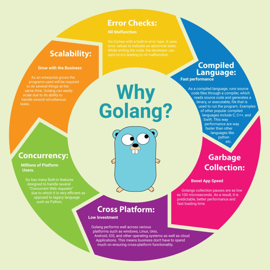why golang Final 1 1030x1030 1 Why Golang?
